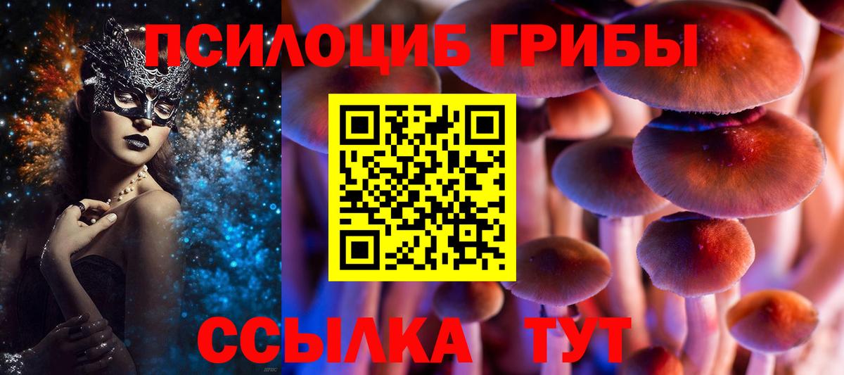 Псилоцибиновые грибы Cubensis  даркнет сайт  Вход с VPN  Ессентуки  Псилоцибиновые грибы Psilocybe 