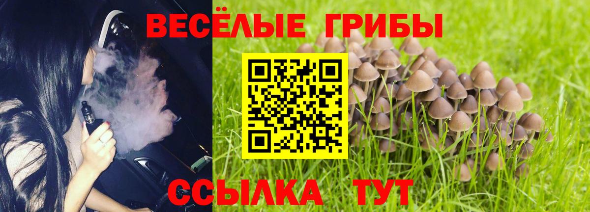 ГАШИШ  ЭКСТАЗИ  Меф МЯУ МЯУ   Ессентуки  Вход с VPN  Бошки Шишки  Кокаин  Гашиш 